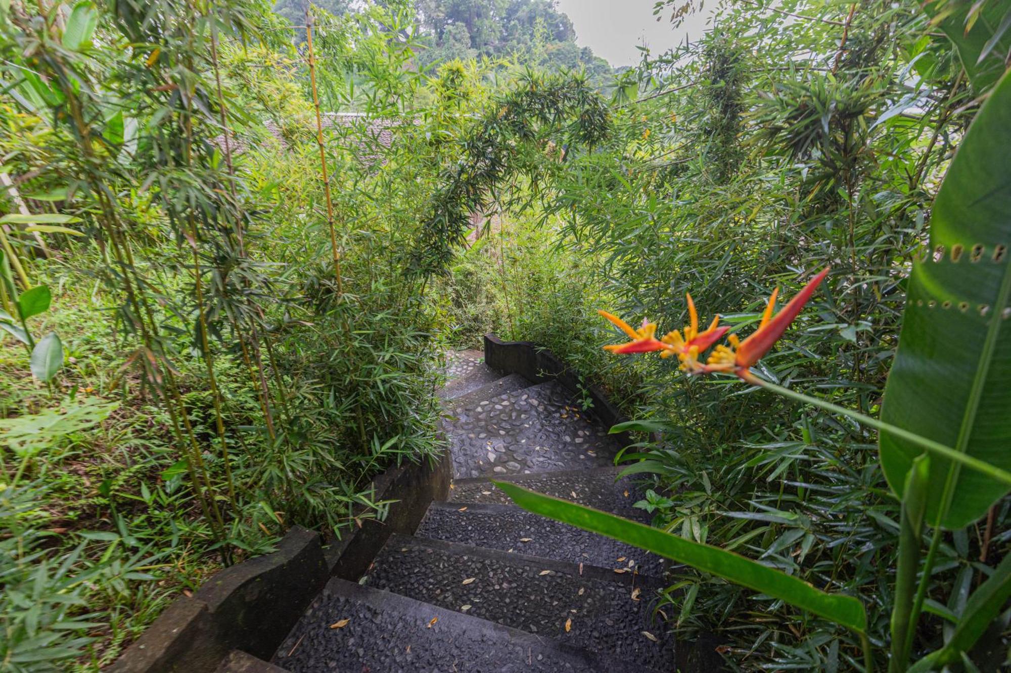 Вилла Shigar Livin Bali Сидемен Экстерьер фото